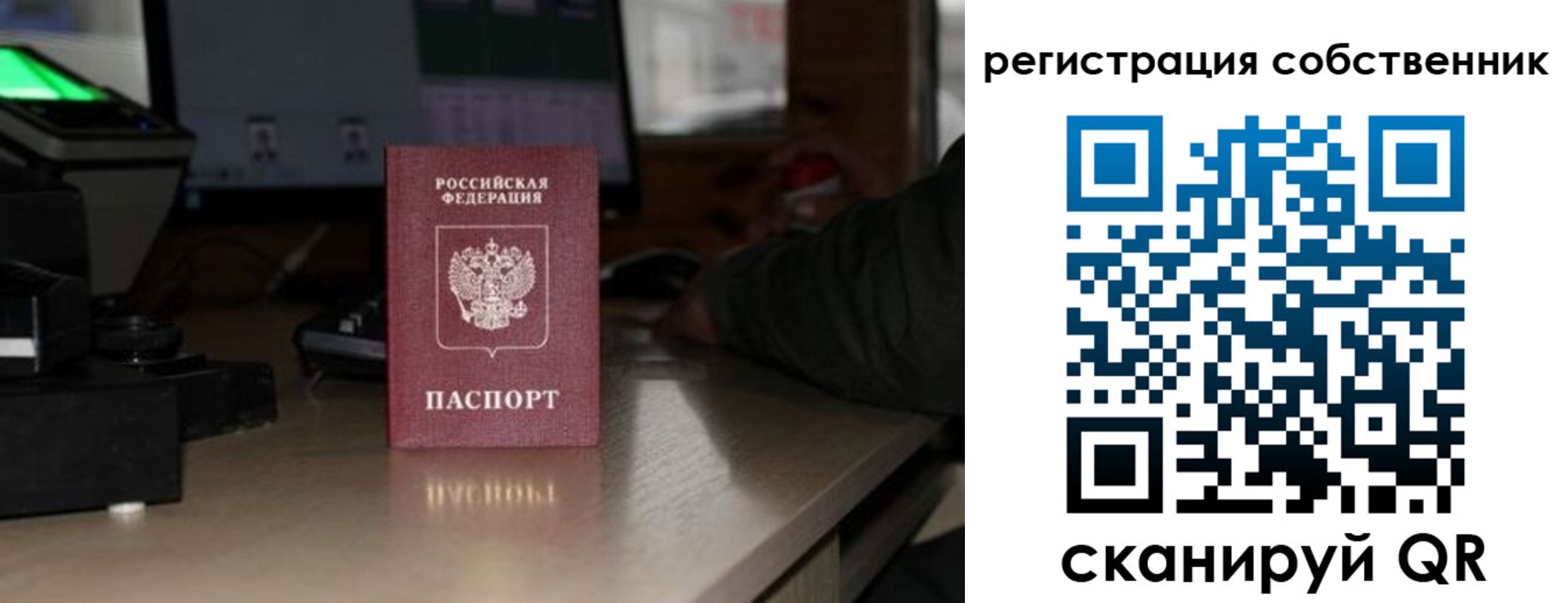 прописка поиск в Сосновке